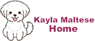 Kayla Puppies Home